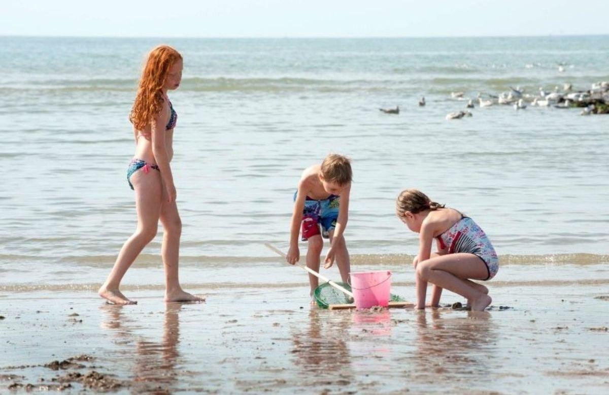 Camping kust noord holland met gezin