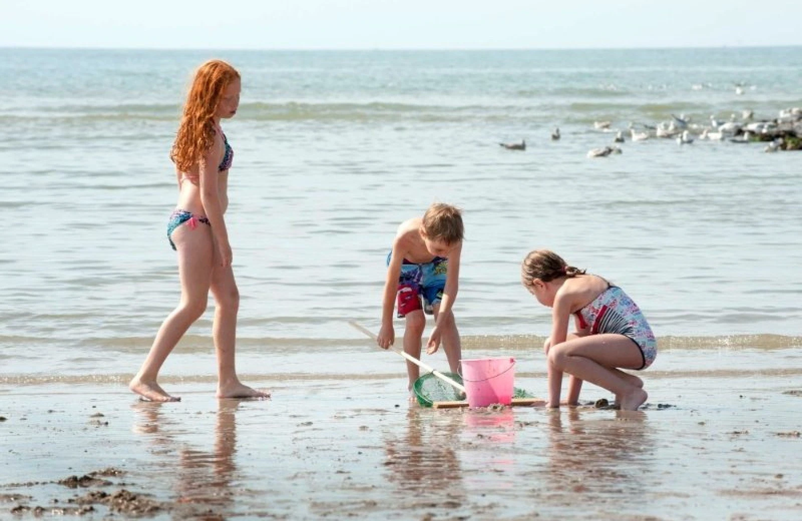 Camping noord holland aan de kust