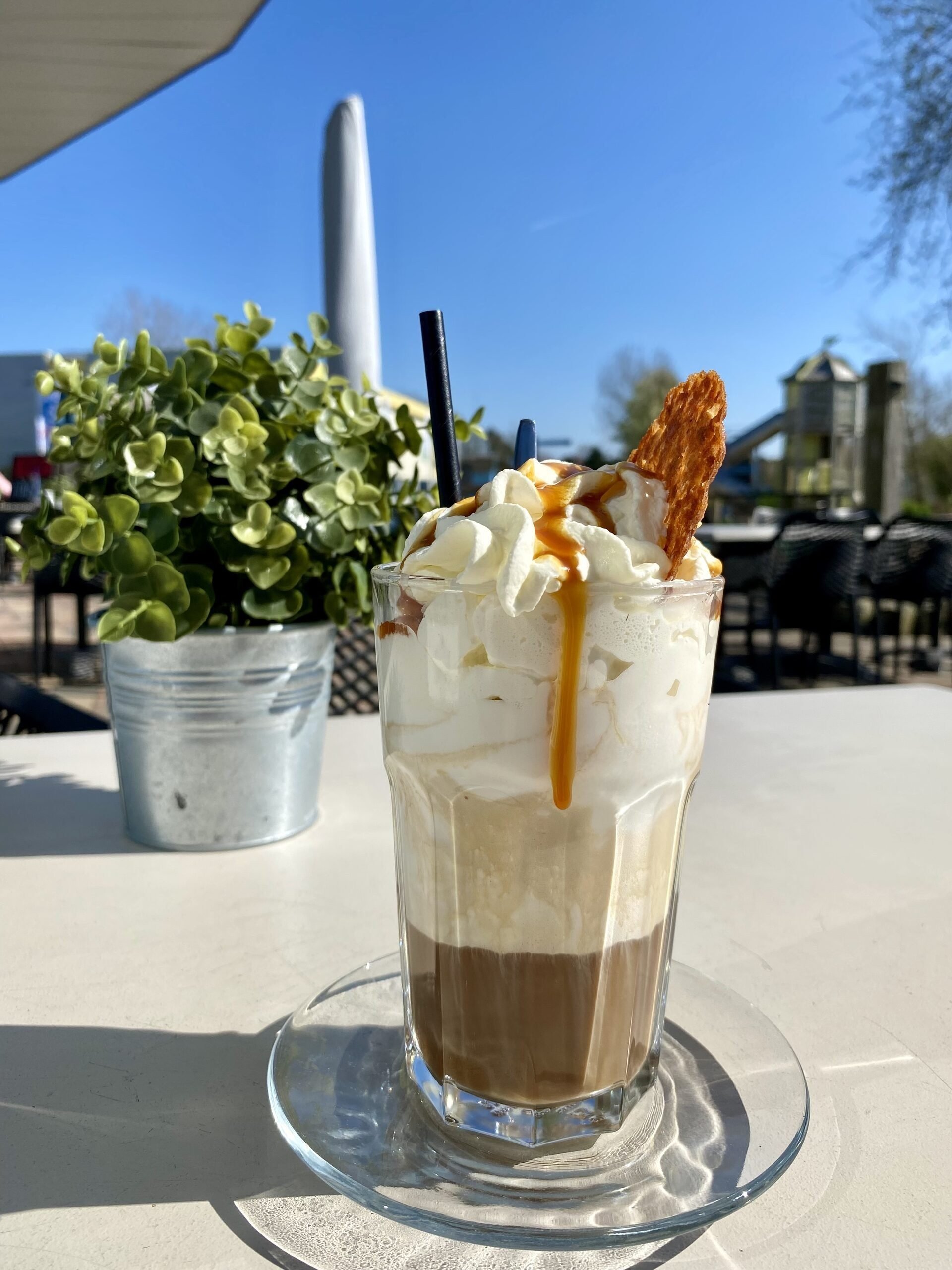 Img 3937 69788d9247cf3