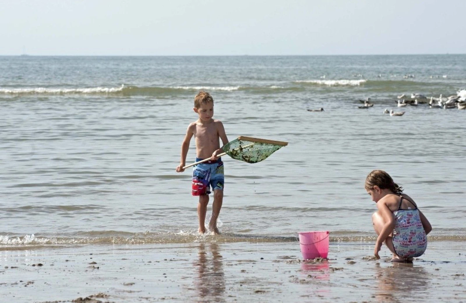 Kindercamping noord holland aan zee