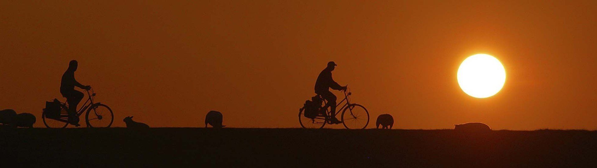 Omgeving camping kust callantsoog 4