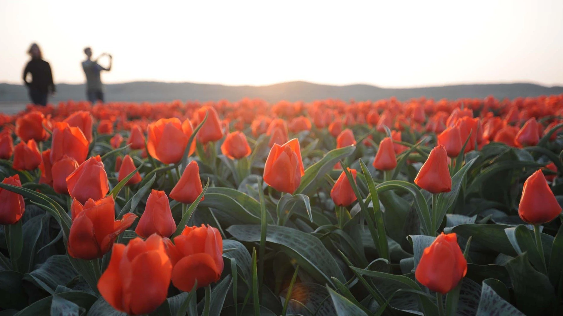 Altijd mooi in Noord-Holland