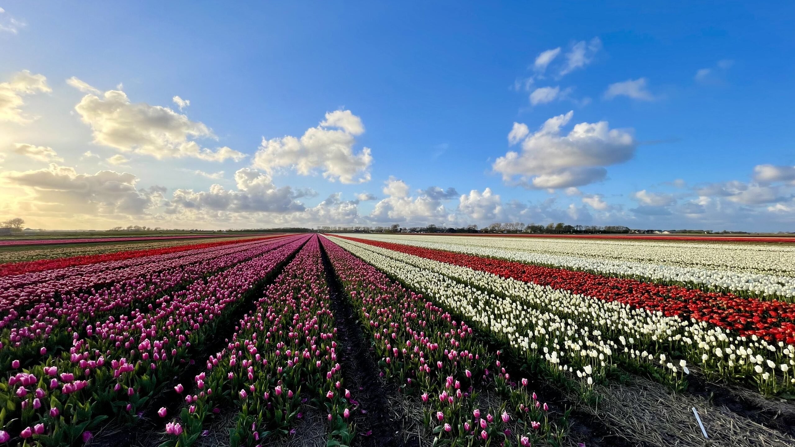 Ontwerp zonder titel 3