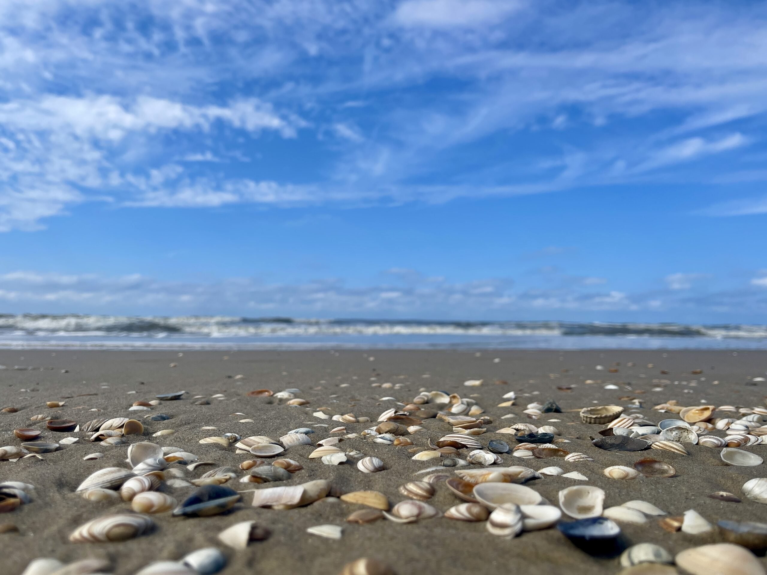 Zee & strand