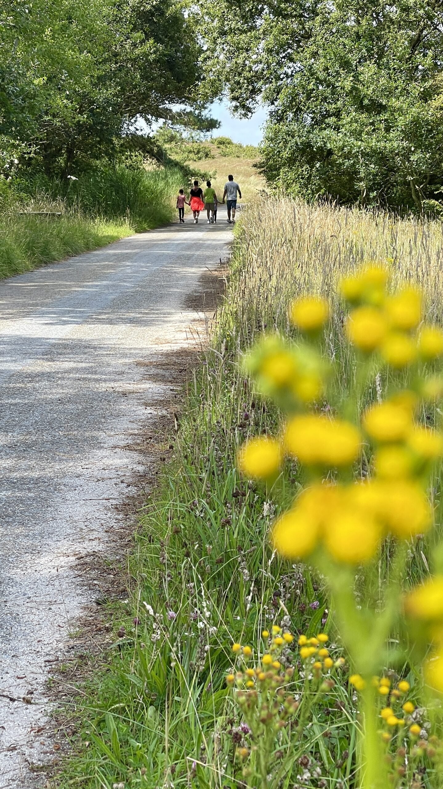 Prachtige natuur